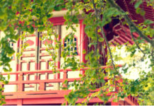 Mini giardino giapponese 700 0 026_Mini giardino giapponese_ok